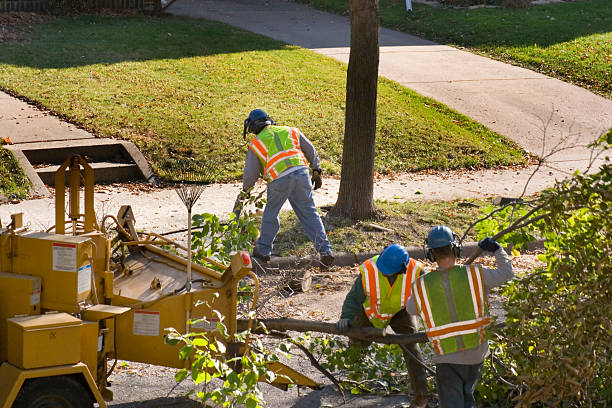 Mulching Services in Gulf Breeze, FL